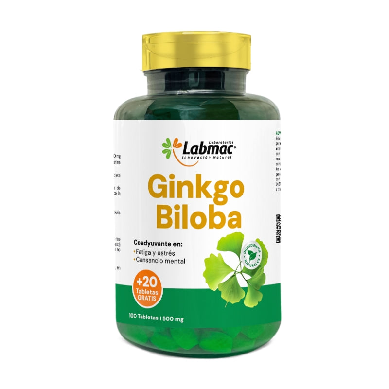 GINKGO BILOBA